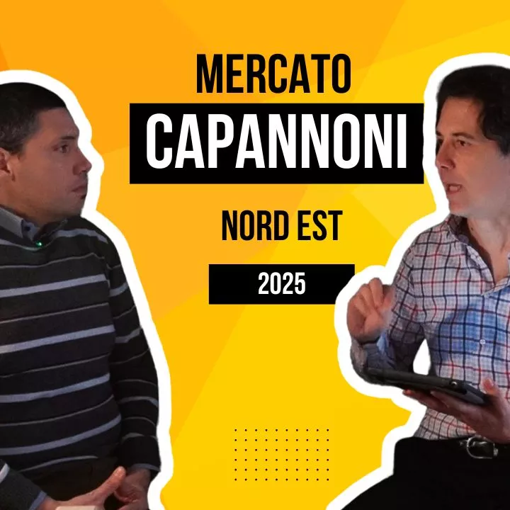 Tendenze del Mercato dei Capannoni Industriali nel Nord Est: Prospettive per il 2025